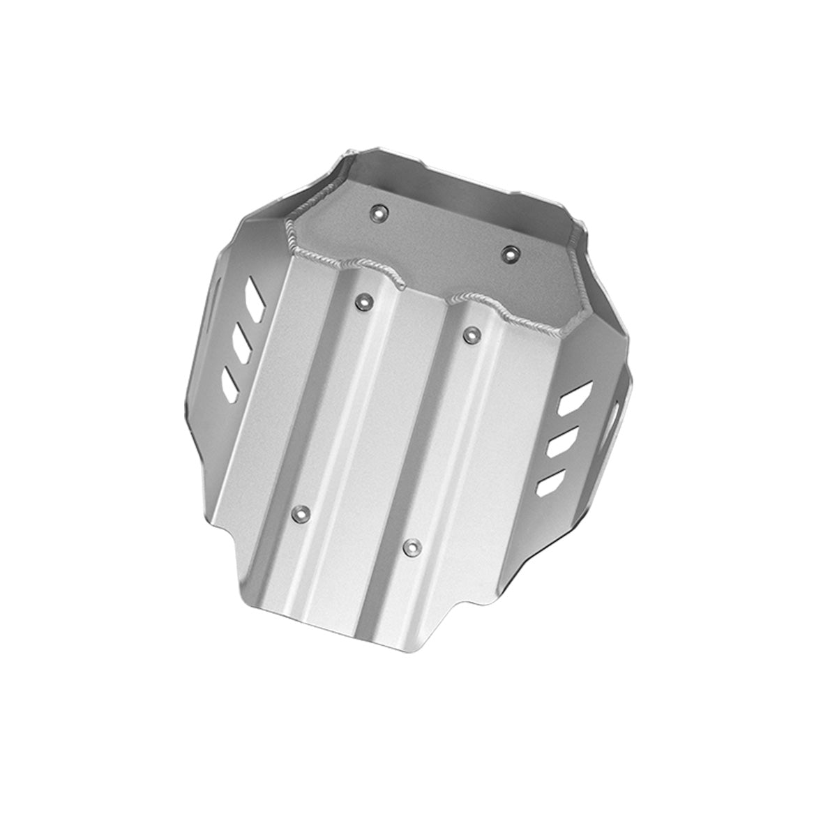 ENGINE GUARD - BMW 1300GS/GSA