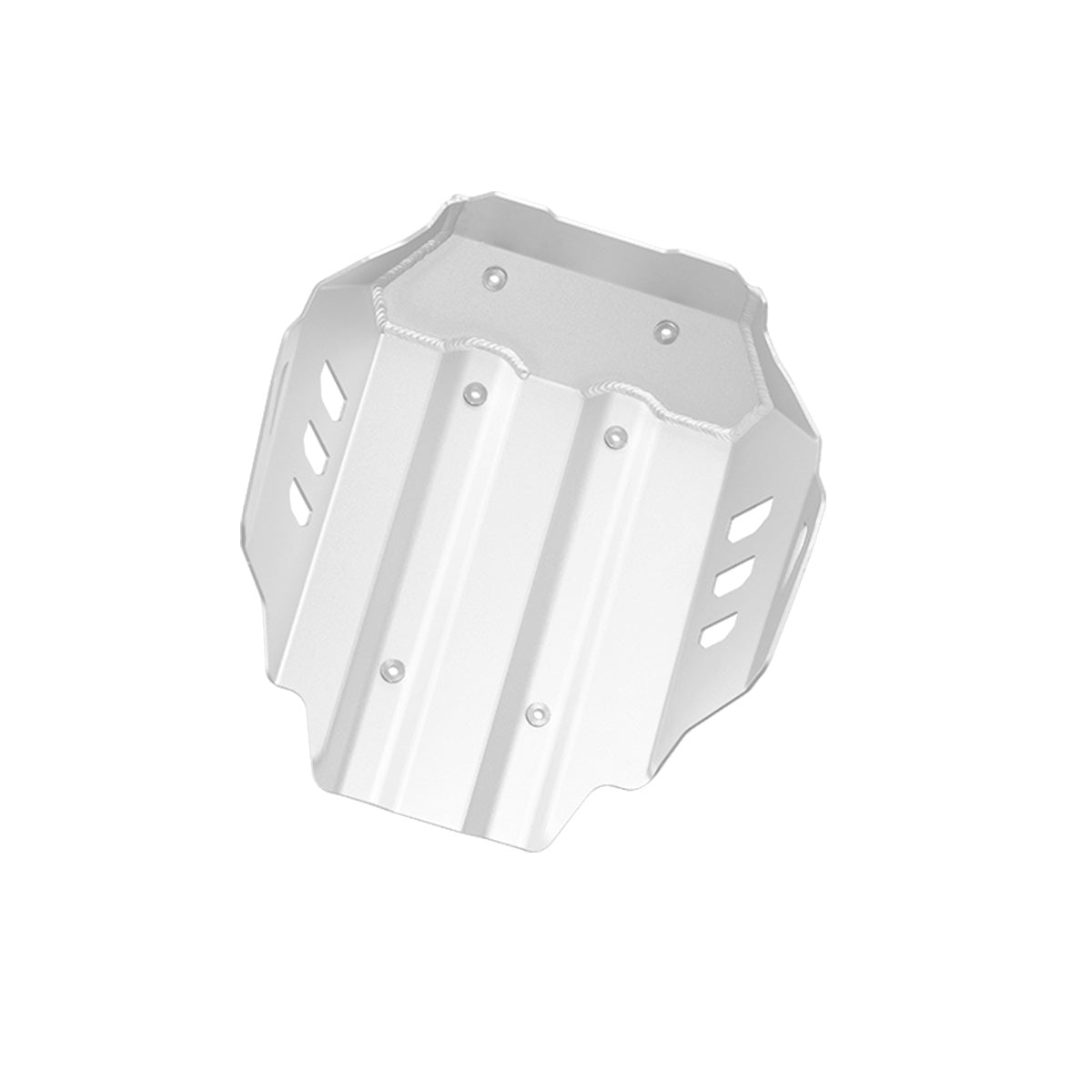 ENGINE GUARD - BMW 1300GS/GSA