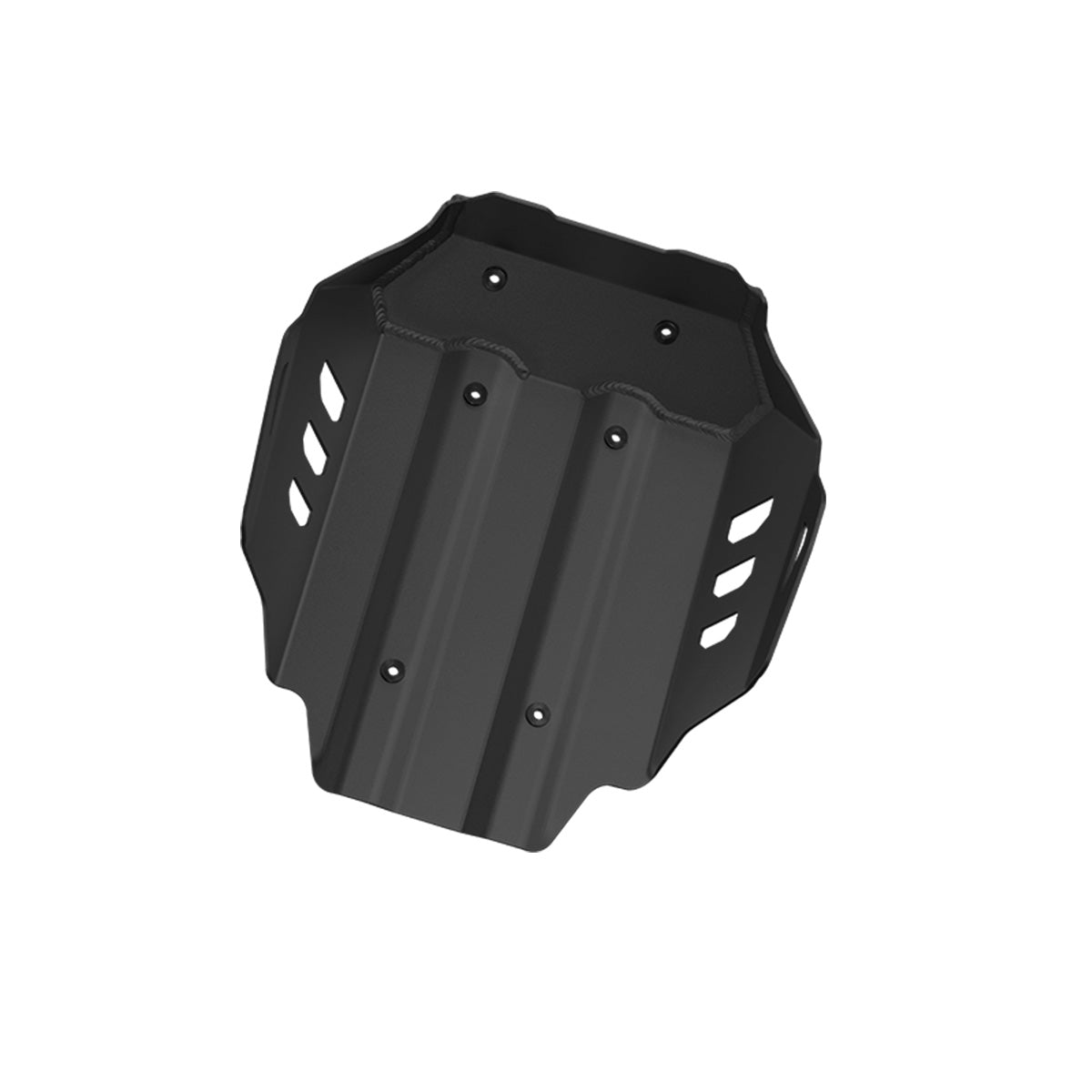 ENGINE GUARD - BMW 1300GS/GSA